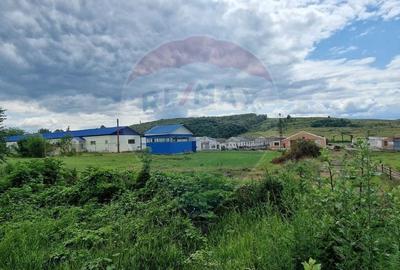 Teren  intravilan in sat Zapodia, com. Traian, jud. Bacau, 36.200mp, - 12