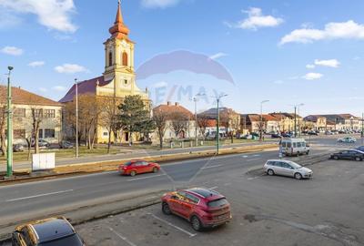 Birou, de 45 mp, în Aradul Nou - 4