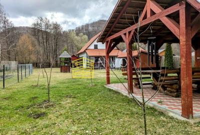 Casă singur în curte – Mureș – Câmpu Cetății - 28