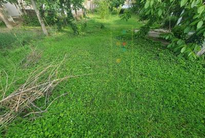 Casă individuală cu 2 camere cu Canalizare în Elisabetin - 9
