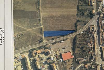 TEREN DE VANZARE Moldova Noua - direct proprietar - 3
