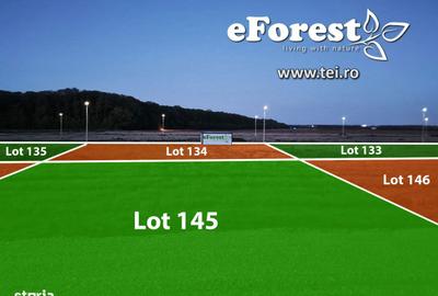 Teren de 760 mp, în Crevedia