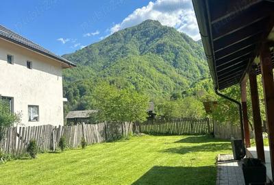 Casă cu 3 camere cu Teren 1285 Mp în Brezoi - 2