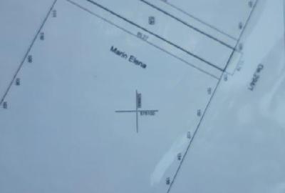 Teren de 1000 mp, în Dragomirești-Deal - 5