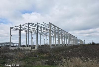 Inchiriere depozit/hala/spatiu industrial Mogosoaia - Buftea - 4