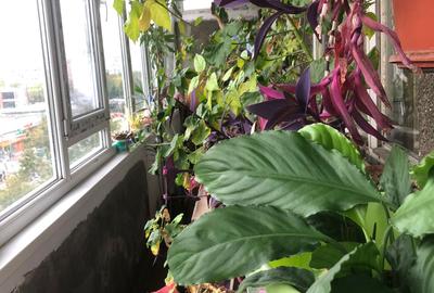 Apartament 3 camere Militari metrou Gorjului ! - 9