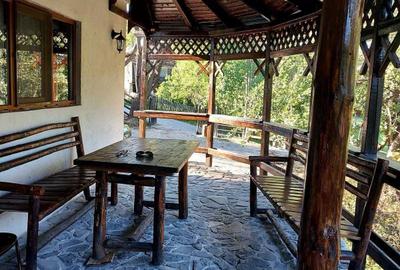 Casă cu 4 camere în Valea Doftanei - 7