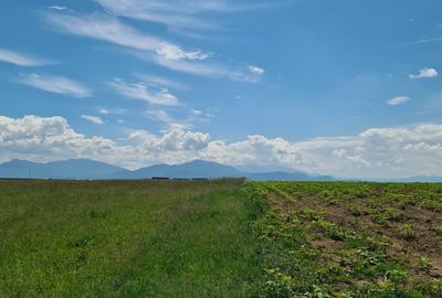 TEREN INTRAVILAN  BOD - 1200 mp pentru constructii case Sp+P+E+M - 8