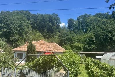 Casă cu 4 camere în Târgu Cărbunești - 6