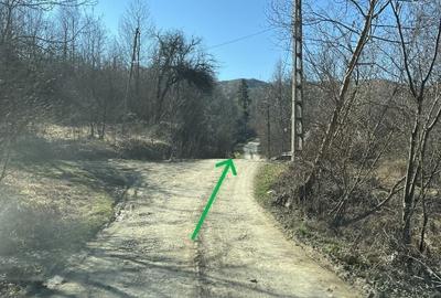 Teren de 4300 mp, în Breaza - 8