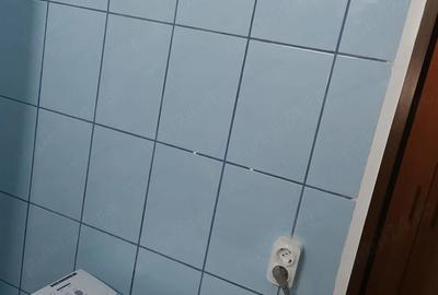 Garsonieră semidecomandată în Traian - 9