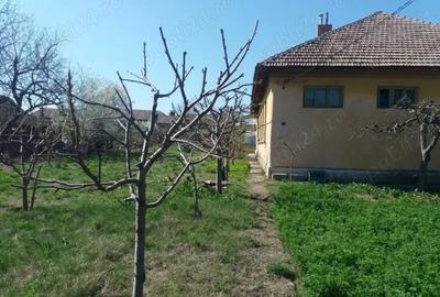 Casă cu 6 camere în Maglavit - 4