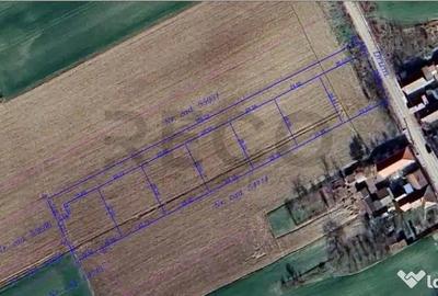 Teren de 640 mp, în Sânnicolau Român - 1