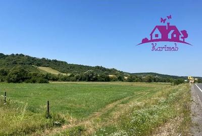 Teren intravilan Hidiselul de Sus - 6