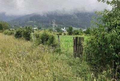 Teren de 1706 mp, în Stejaru (Pângărați) - 3