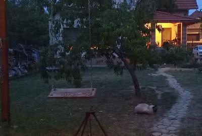 Casă cu 4 camere în Benic - 4