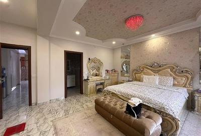 Vila de inchiriat Colentina - 14