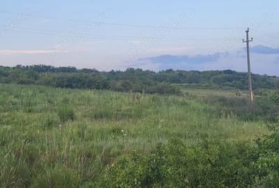 Teren de 3000 mp, în Valea Ursului - 2