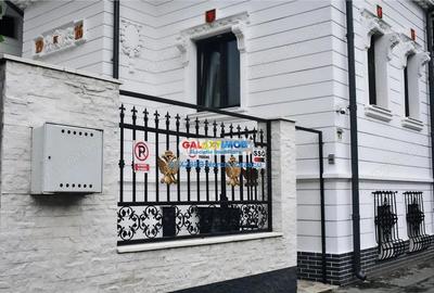 Casă cu 8 camere cu Teren 110 Mp în Moșilor - 13