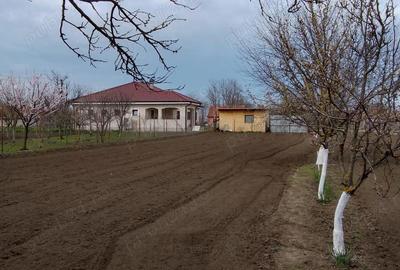 Casă în Iecea Mare - 5