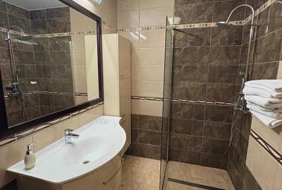 Apartament 1 camera de inchiriat zona strazii Horea Cluj - 3