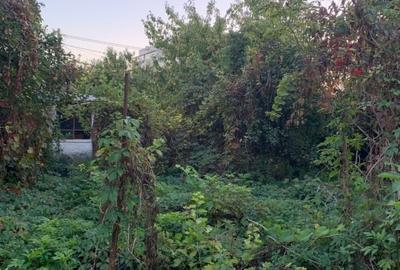 Teren Construcții intravilan de 1000 mp, în Central - 7