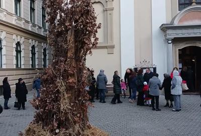 Casă cu 6 camere în Bazoș - 3