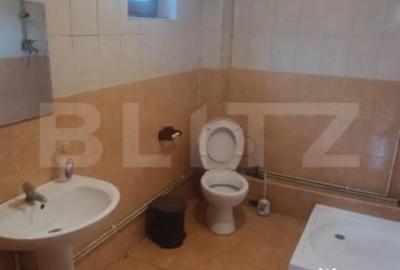 Spațiu comercial, de 300 mp, în Central - 1