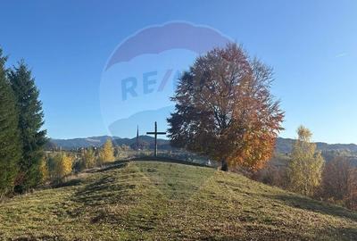 Oportunitate de investiție ! Teren de vis în Pestera - 125.370 mp - 11