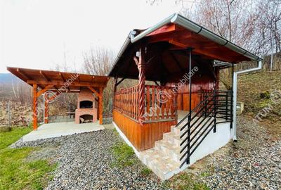 De casa de vacanta in Arpasu de Sus langa Pastravaria Albot - 4