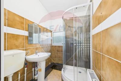 Vila P+M de inchiriat  in zona Vatra Luminoasa, comercial sau birouri - 11