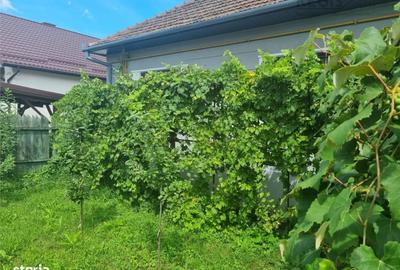Casă cu 3 camere cu Teren 200 Mp în Craiter - 5