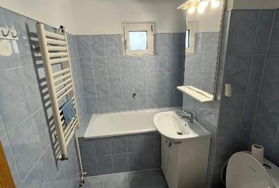 Inchieriez apartament 2 camere, Zona Dambovita, Timisioara - 13