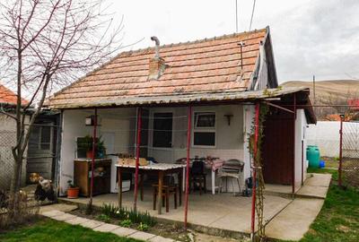 Casa de vanzare Petrisat - 6