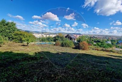 Teren 1,000mp Piatra-Neamt / Strada Pietrelor - 2