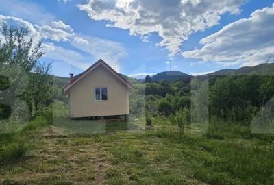 Teren de 1281 mp, în Căprioara - 5