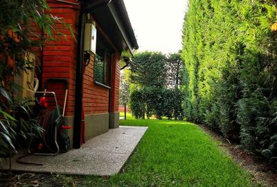 Casă cu 5 camere cu Teren 956 Mp în Bucium - 11