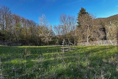 Teren de 2500 mp, în Trăisteni - 3