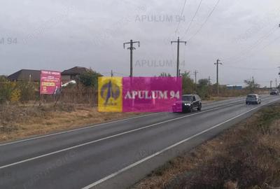 Teren de 4800 mp, în Glina - 1