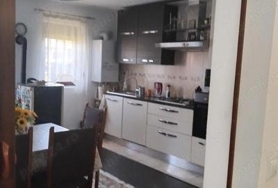Casă cu Teren 1989 Mp în Ciritei - 5