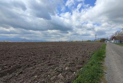 Teren intravilan 4,57 ha în Stupini - DN13. - 6