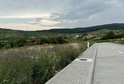 Teren Construcții intravilan de 803 mp, în Borhanci - 5