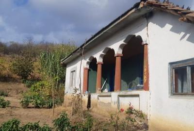 Casă cu 4 camere cu Teren 1458 Mp în Vânători - 2
