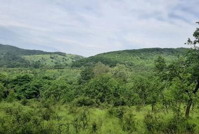 Teren de 4100 mp, în Rușavăț - 2