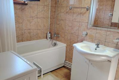 Casă cu 4 camere cu Teren 6202 Mp în Totea - 5