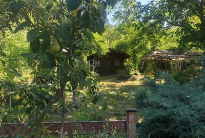 Casă cu 3 camere în Bâlteni - 5