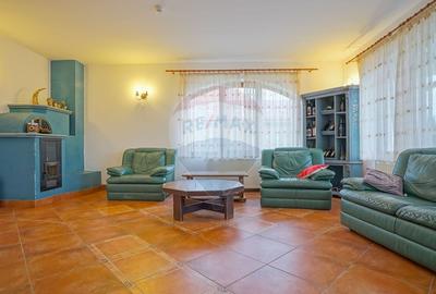 Hotel/Pensiune, de 2,950 mp, în Pănicel - 23