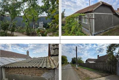 Casă cu 3 camere cu Teren 3803 Mp în Cobadin - 4
