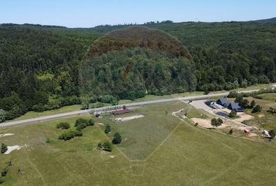 Teren 5,561mp Paltinoasa / Strada principala - 18