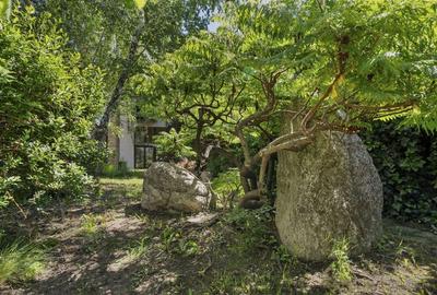 ARTSY LAKEFRONT VILLA | BANEASA - 51